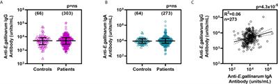 Immune Response to Enterococcus gallinarum in Lupus Patients Is Associated With a Subset of Lupus-Associated Autoantibodies